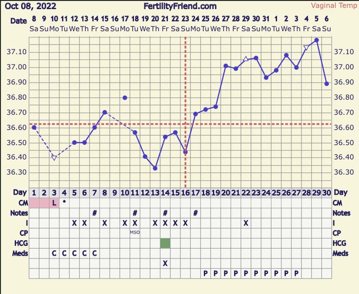 Temperatura basale per ricerca cicogna 🤞🏻 4