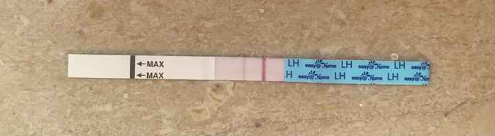 11 giorno ciclo e test ovulazione - 1