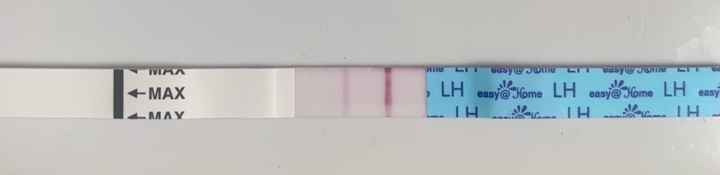 11 giorno ciclo e test ovulazione - 2