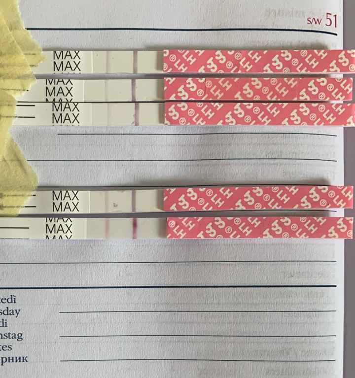 11 giorno ciclo e test ovulazione - 1