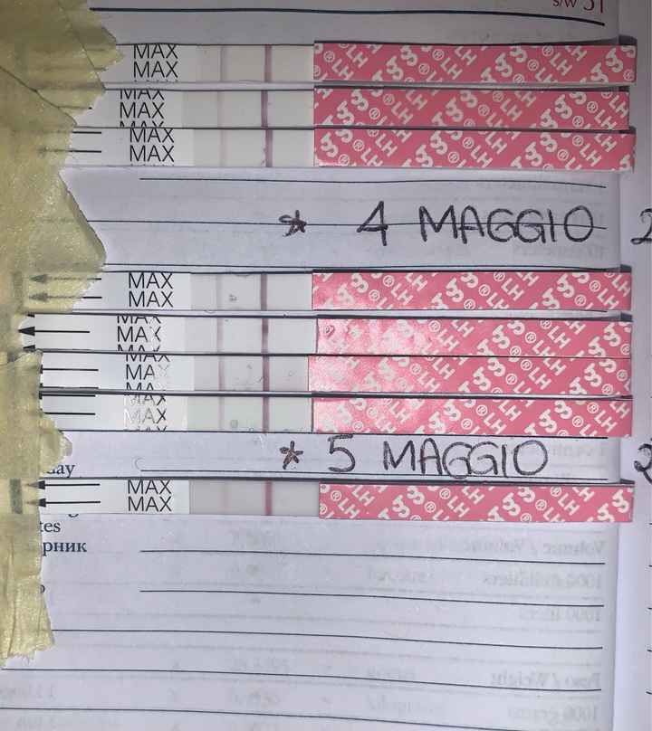 14pm test ovulazione negativo - 1