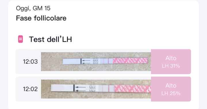 14pm test ovulazione negativo - 1