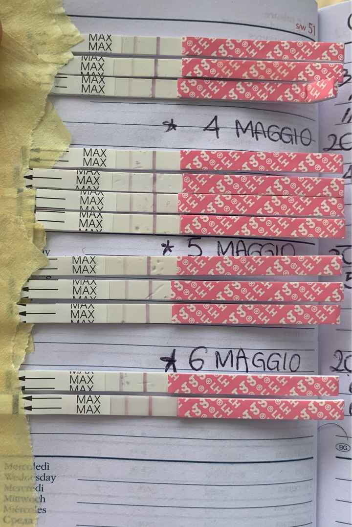 14pm test ovulazione negativo - 4