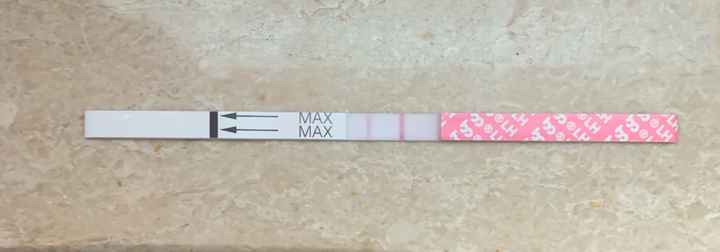 Femometer o Premom?? - 2