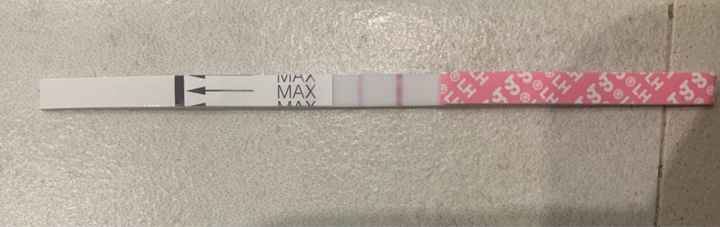 14pm test ovulazione negativo - 2