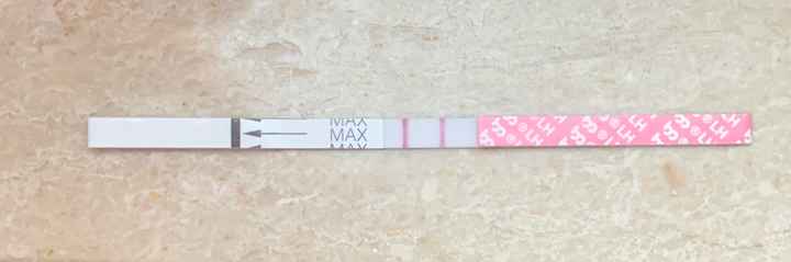 14pm test ovulazione negativo - 2