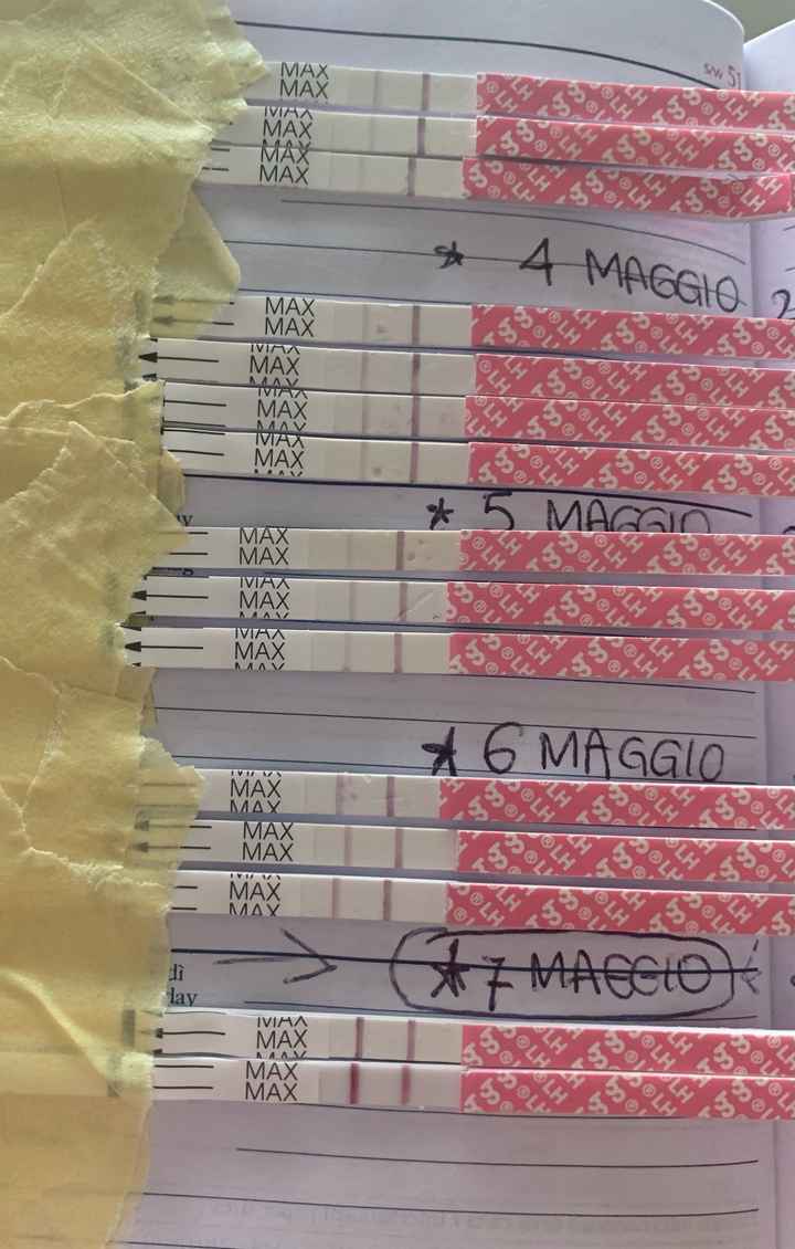 14pm test ovulazione negativo - 1