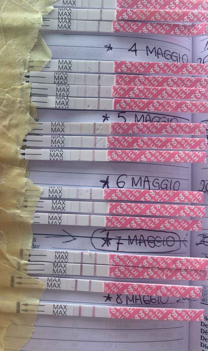 14pm test ovulazione negativo - 3