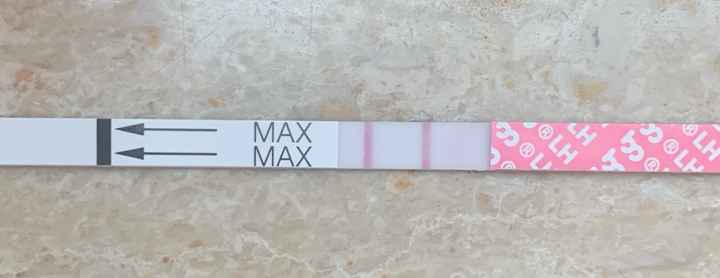 14pm test ovulazione negativo - 1