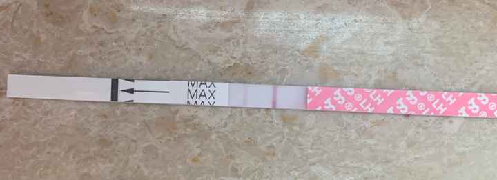 14pm test ovulazione negativo - 1