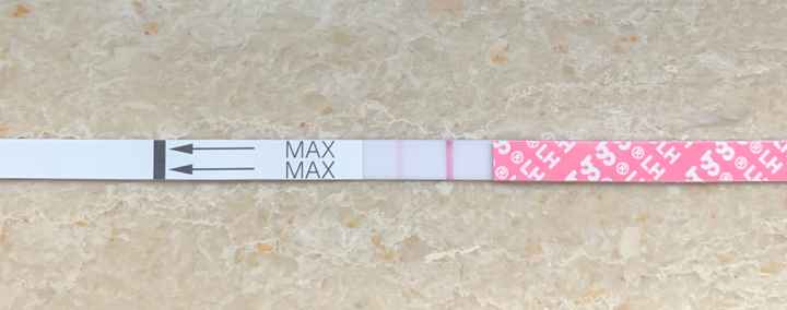 14pm test ovulazione negativo - 1