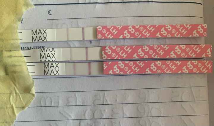 C’è qualche problema o è tutto normale? Stick ovulazione 4po - 2