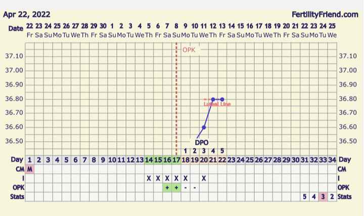 Temperatura basale per ricerca cicogna 🤞🏻 - 1