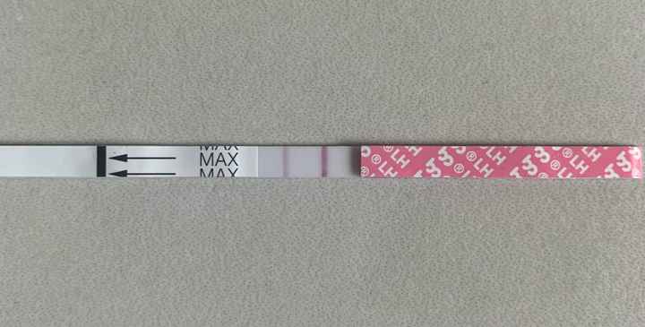 14pm test ovulazione negativo - 1