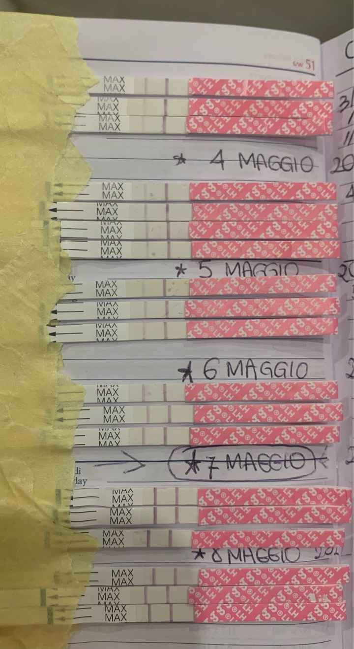 14pm test ovulazione negativo - 2