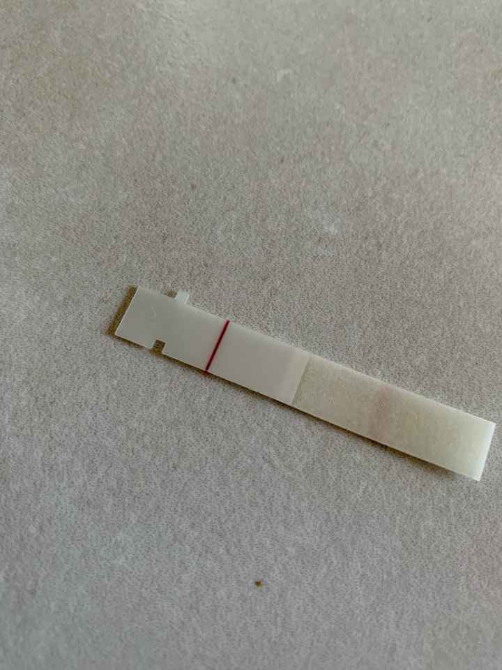 Temperatura basale per ricerca cicogna 🤞🏻 - 1