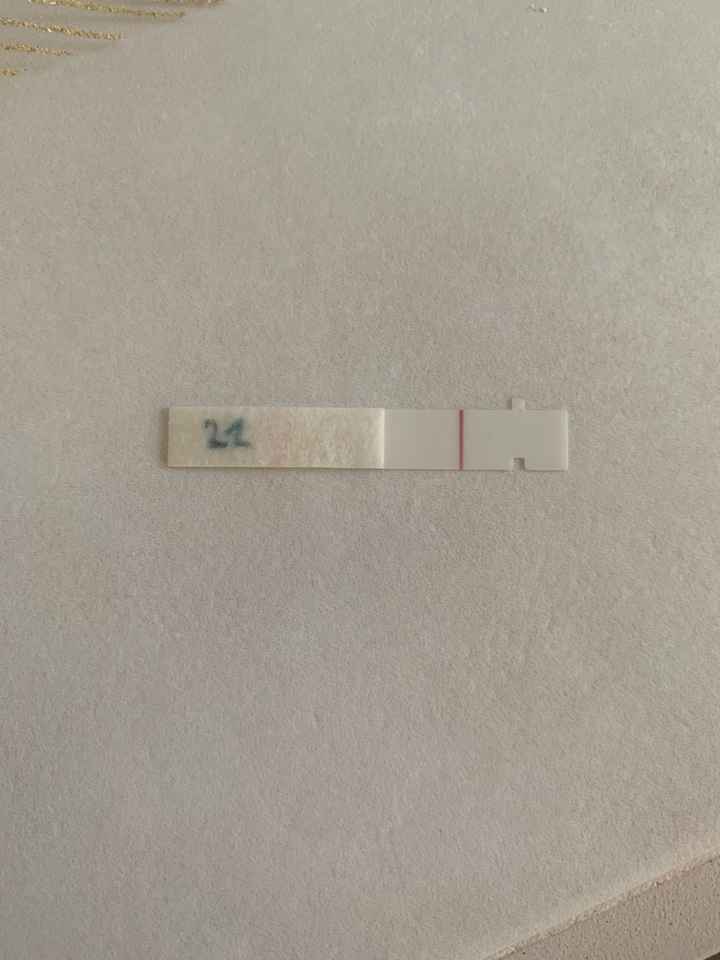 Temperatura basale per ricerca cicogna 🤞🏻 - 2