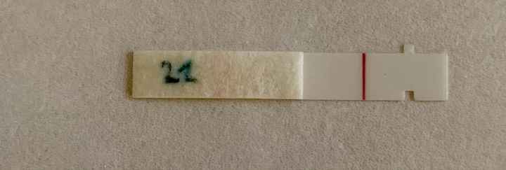 Temperatura basale per ricerca cicogna 🤞🏻 - 1