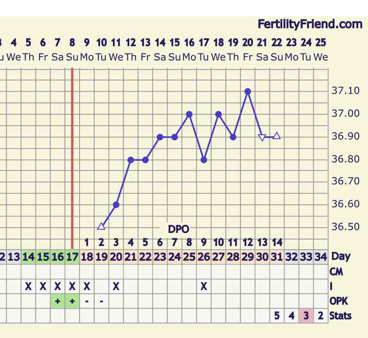 Temperatura basale per ricerca cicogna 🤞🏻 - 1