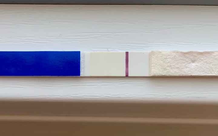 Temperatura basale per ricerca cicogna 🤞🏻 - 1