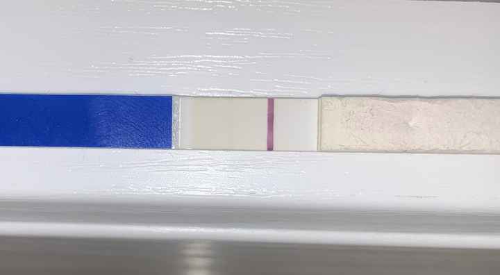 Temperatura basale per ricerca cicogna 🤞🏻 - 2