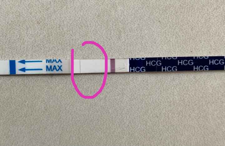 Temperatura basale per ricerca cicogna 🤞🏻 - 1