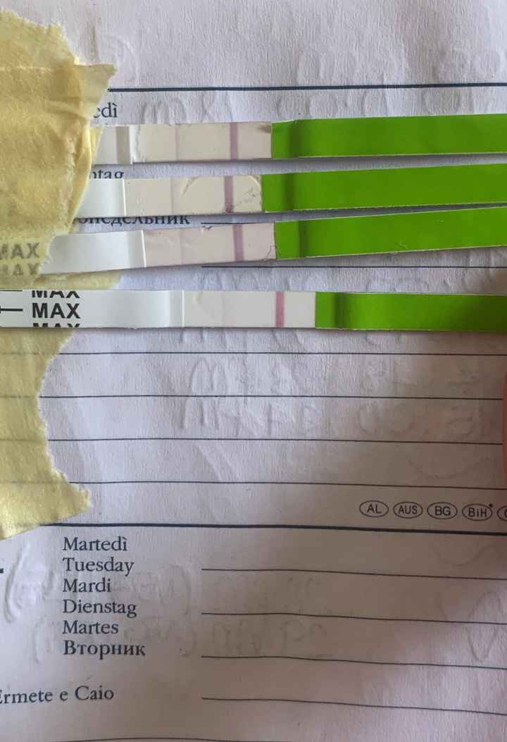 Chi non le aspetta per Giugno 2022 🌻🤰🏻♥️ - 1