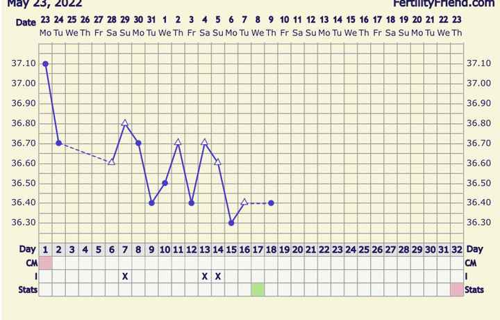 Temperatura basale per ricerca cicogna 🤞🏻 - 1