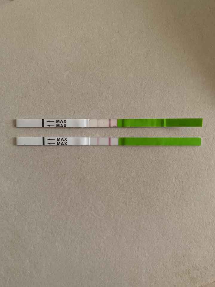 Esperte temperatura basale - 1