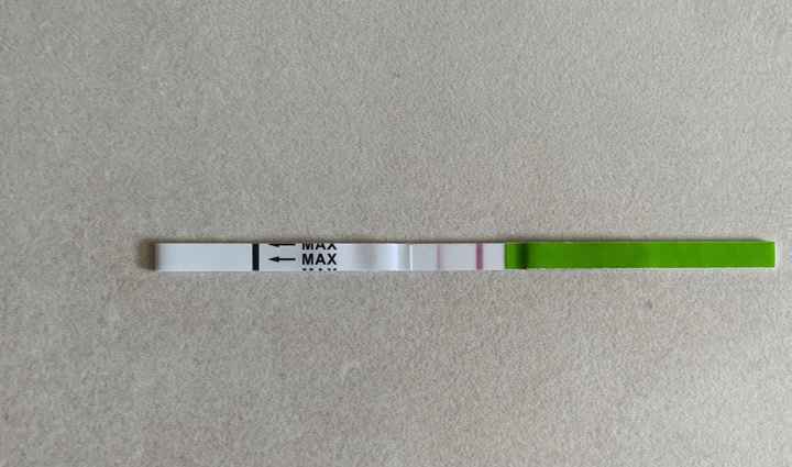 Temperatura basale per ricerca cicogna 🤞🏻 - 1