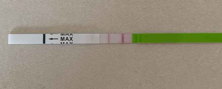 Temperatura basale per ricerca cicogna 🤞🏻 - 1