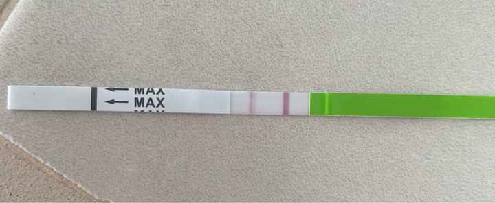 Temperatura basale per ricerca cicogna 🤞🏻 - 2