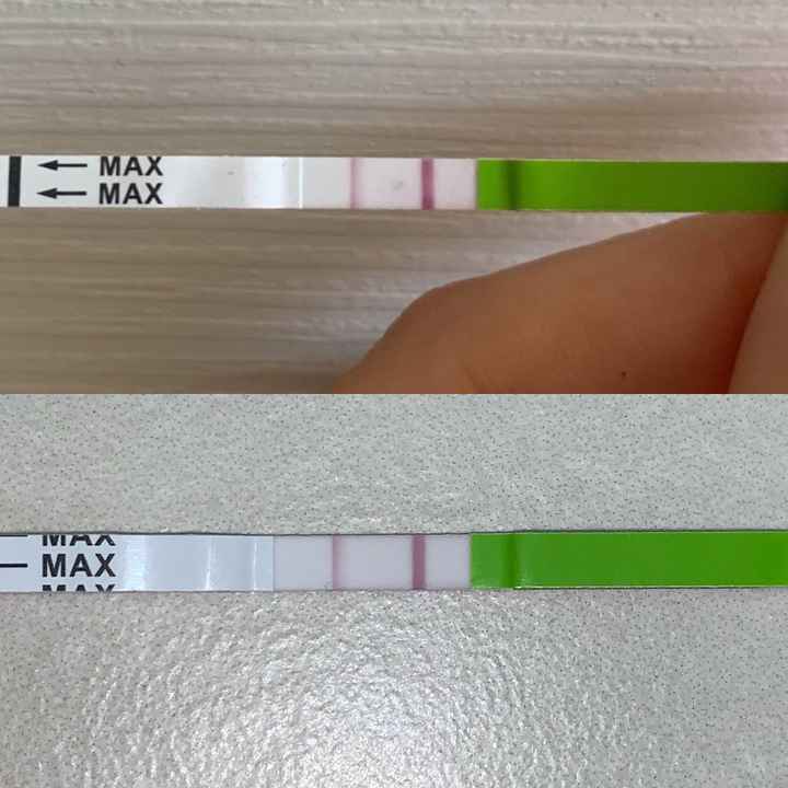 Temperatura basale per ricerca cicogna 🤞🏻 - 1