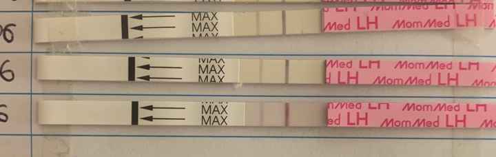 Temperatura basale per ricerca cicogna 🤞🏻 - 1