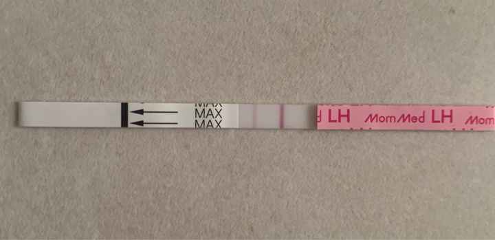 Temperatura basale per ricerca cicogna 🤞🏻 - 2