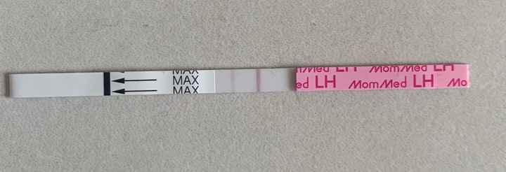 Temperatura basale per ricerca cicogna 🤞🏻 - 2