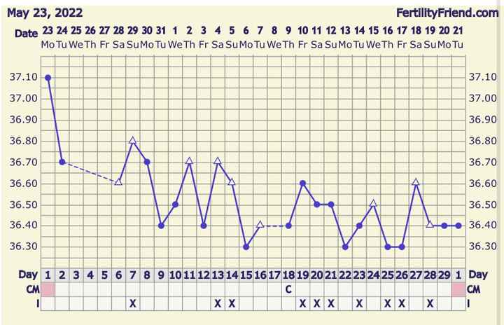 Temperatura basale per ricerca cicogna 🤞🏻 - 1