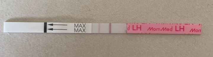 Temperatura basale per ricerca cicogna 🤞🏻 - 1