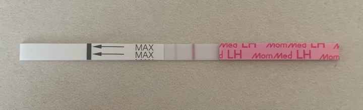 Temperatura basale per ricerca cicogna 🤞🏻 - 2