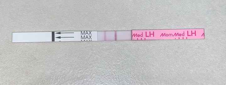 Stick ovulazione - 2