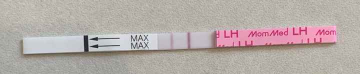 Temperatura basale per ricerca cicogna 🤞🏻 - 2