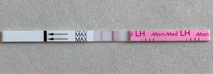 Stick ovulazione - 3