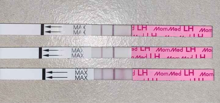 Stick ovulazione - 4