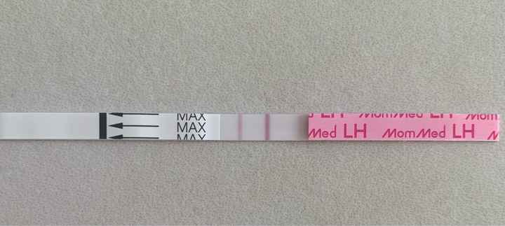 Temperatura basale per ricerca cicogna 🤞🏻 - 1