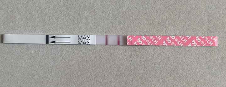 Temperatura basale per ricerca cicogna 🤞🏻 - 1