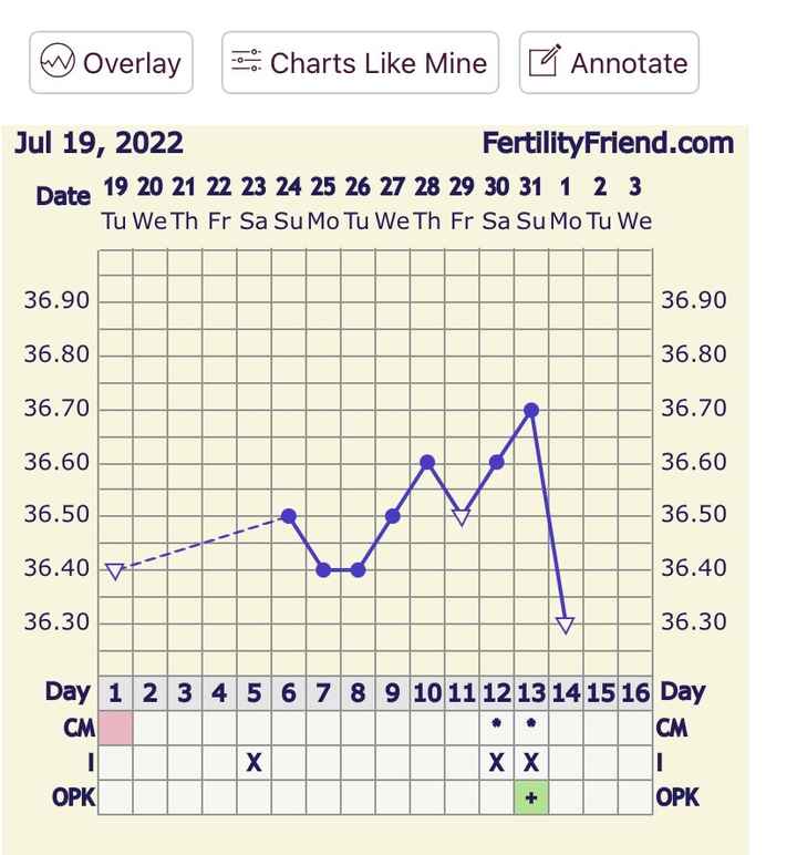Temperatura basale per ricerca cicogna 🤞🏻 - 1