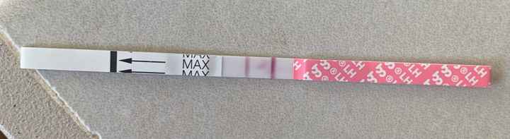 Temperatura basale per ricerca cicogna 🤞🏻 - 1