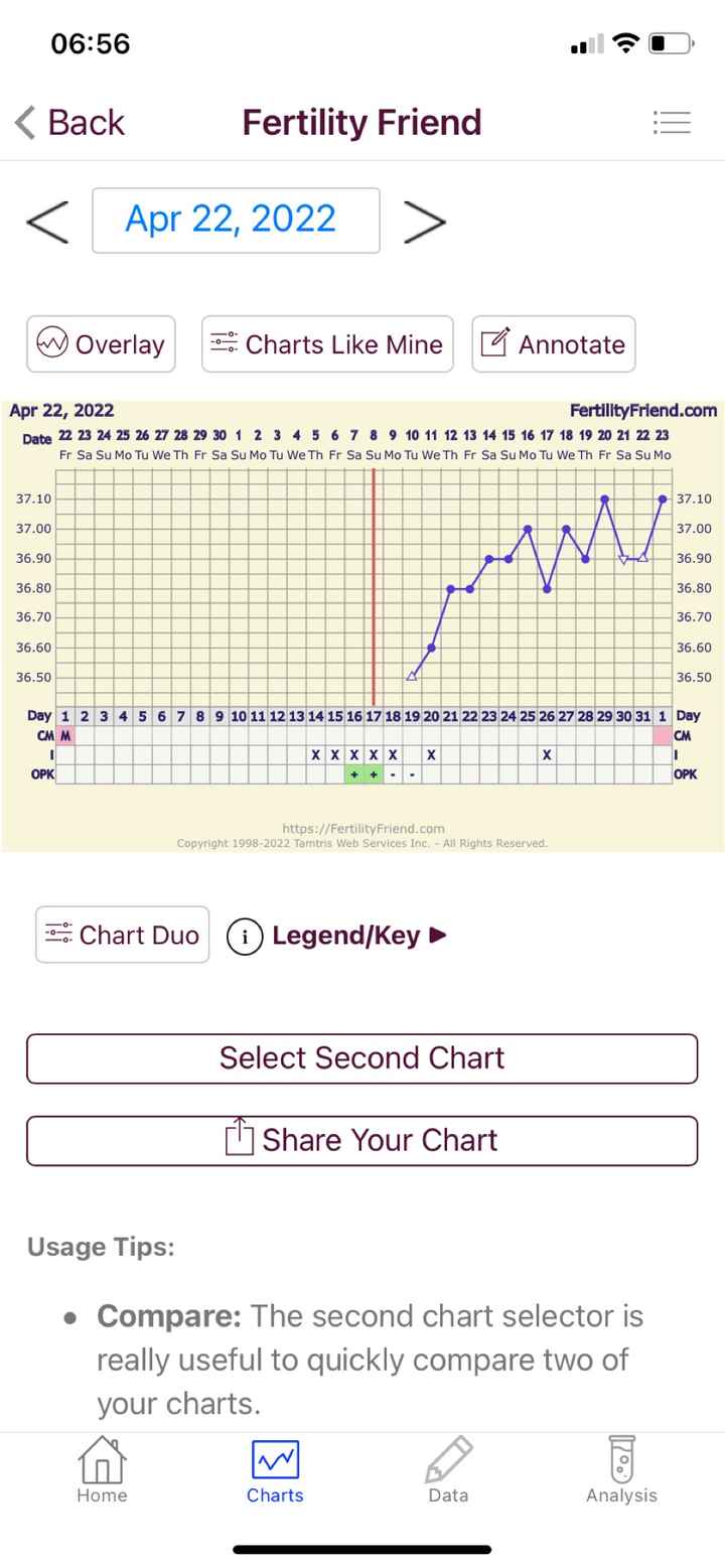 Temperatura basale per ricerca cicogna 🤞🏻 - 2