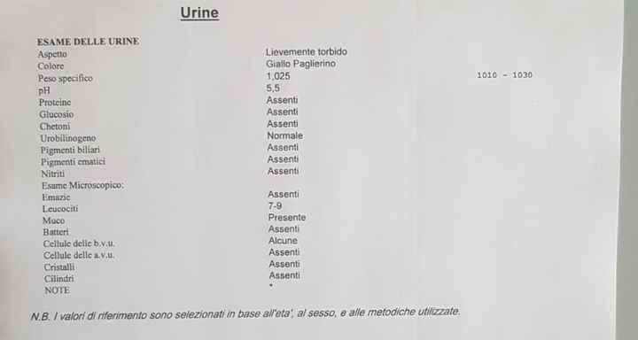 Temperatura basale per ricerca cicogna 🤞🏻 - 1