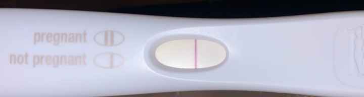 Temperatura basale per ricerca cicogna 🤞🏻 - 1